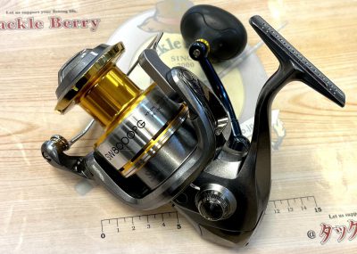 USED REEL Shimano 10 BIOMASTER SW 8000PG